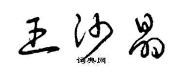 曾慶福王沙晶草書個性簽名怎么寫