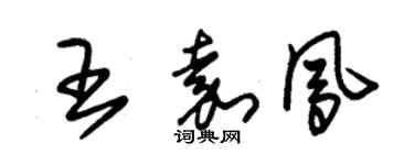 朱錫榮王嘉鳳草書個性簽名怎么寫