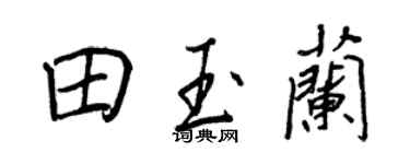 王正良田玉蘭行書個性簽名怎么寫