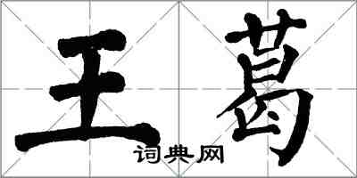 翁闓運王葛楷書怎么寫