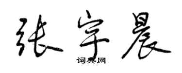 曾慶福張宇晨行書個性簽名怎么寫