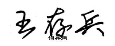朱錫榮王存兵草書個性簽名怎么寫