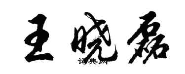 胡問遂王曉磊行書個性簽名怎么寫
