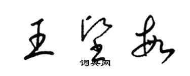 梁錦英王堅敏草書個性簽名怎么寫