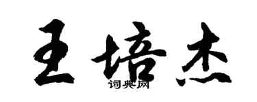 胡問遂王培傑行書個性簽名怎么寫