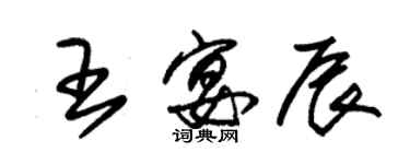 朱錫榮王宴辰草書個性簽名怎么寫