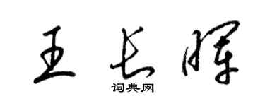 梁錦英王長暉草書個性簽名怎么寫