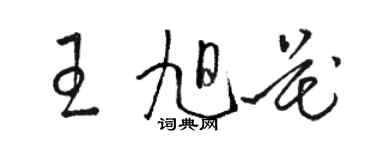 駱恆光王旭花草書個性簽名怎么寫