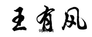胡問遂王有風行書個性簽名怎么寫