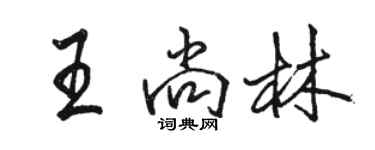駱恆光王尚林行書個性簽名怎么寫