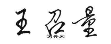 駱恆光王召量行書個性簽名怎么寫