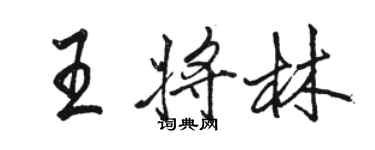 駱恆光王將林行書個性簽名怎么寫