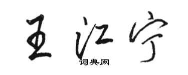 駱恆光王江寧行書個性簽名怎么寫