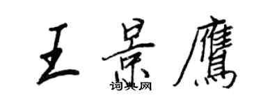 王正良王景鷹行書個性簽名怎么寫