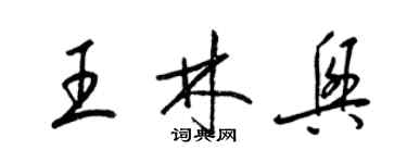 梁錦英王林興草書個性簽名怎么寫