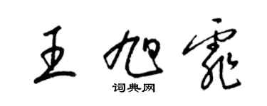 梁錦英王旭霏草書個性簽名怎么寫