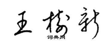 梁錦英王樹新草書個性簽名怎么寫