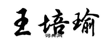 胡問遂王培瑜行書個性簽名怎么寫