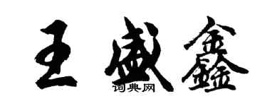 胡問遂王盛鑫行書個性簽名怎么寫