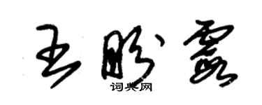 朱錫榮王盼霞草書個性簽名怎么寫