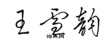 駱恆光王雪韻草書個性簽名怎么寫