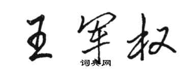 駱恆光王軍權行書個性簽名怎么寫