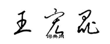 梁錦英王宏昆草書個性簽名怎么寫