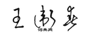 駱恆光王衛春草書個性簽名怎么寫