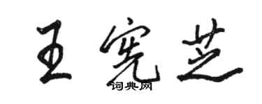 駱恆光王憲芝行書個性簽名怎么寫