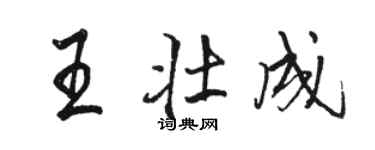 駱恆光王壯成行書個性簽名怎么寫