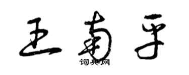 曾慶福王南平草書個性簽名怎么寫