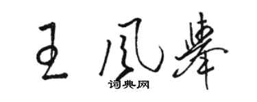 駱恆光王風舉草書個性簽名怎么寫