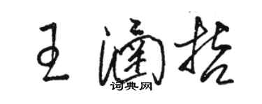 駱恆光王涵哲草書個性簽名怎么寫