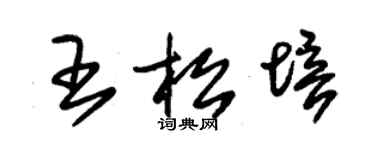 朱錫榮王松培草書個性簽名怎么寫