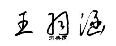 梁錦英王羽涵草書個性簽名怎么寫