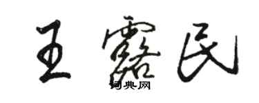 駱恆光王露民行書個性簽名怎么寫