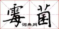 周炳元黴菌楷書怎么寫