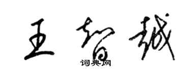 梁錦英王智越草書個性簽名怎么寫