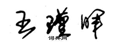 朱錫榮王瑾暉草書個性簽名怎么寫