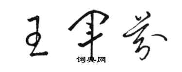 駱恆光王軍芬草書個性簽名怎么寫