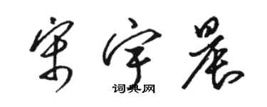 駱恆光宋宇晨草書個性簽名怎么寫