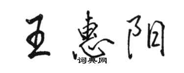 駱恆光王惠陽行書個性簽名怎么寫