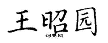 丁謙王昭園楷書個性簽名怎么寫