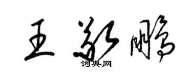 梁錦英王敬鵬草書個性簽名怎么寫