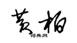 朱錫榮黃柏草書個性簽名怎么寫