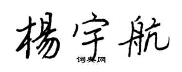 王正良楊宇航行書個性簽名怎么寫
