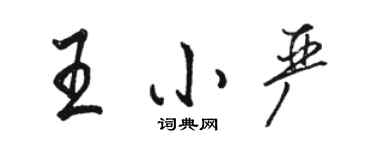 駱恆光王小嚴行書個性簽名怎么寫