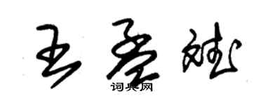 朱錫榮王孟斌草書個性簽名怎么寫