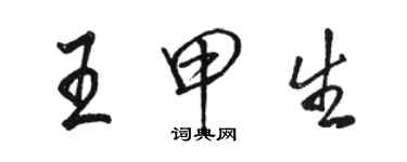 駱恆光王甲生行書個性簽名怎么寫