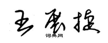 朱錫榮王展捷草書個性簽名怎么寫